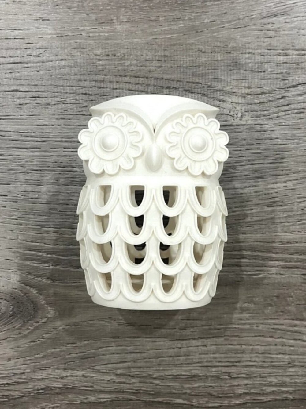 Bath and Body Works Foaming Soap Holder (Ivory Owl)